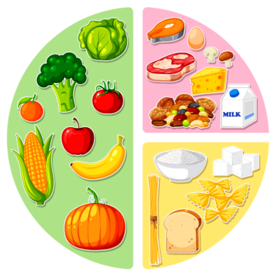 13 essential nutrients
